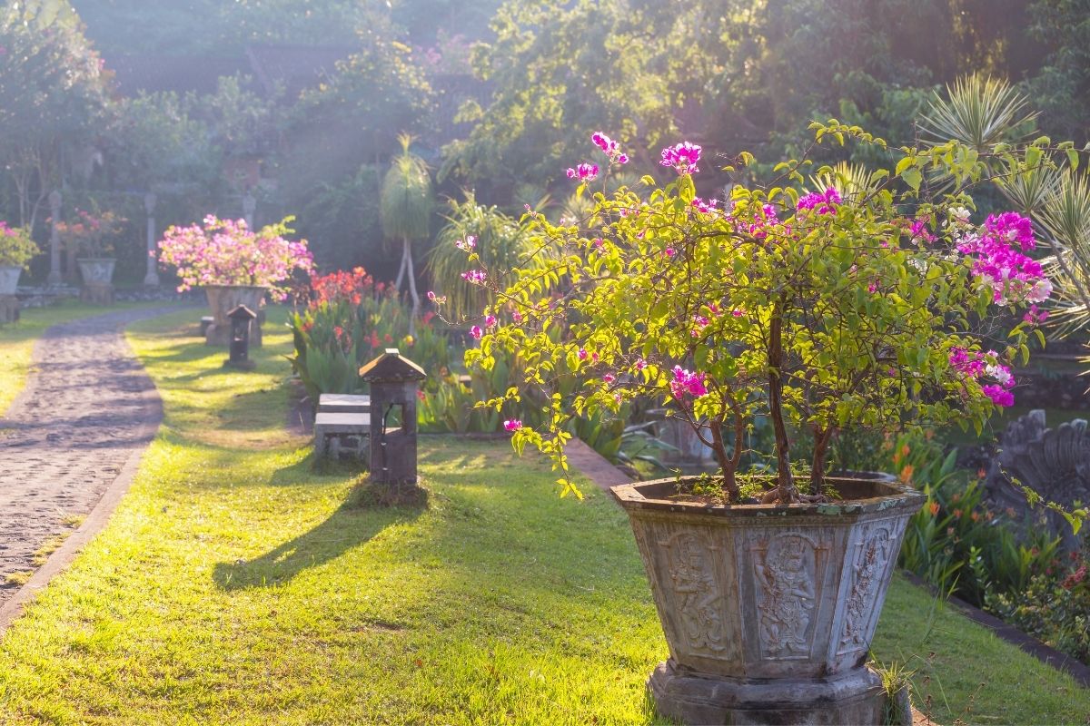 Visit Tamar Valley Gardens