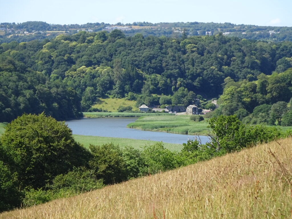 Cotehele Quay from the route of the TVDT