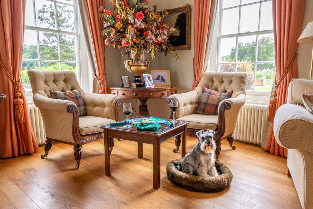 Dog Friendly Holiday Cottage in Cornwall by Grey Dog Images