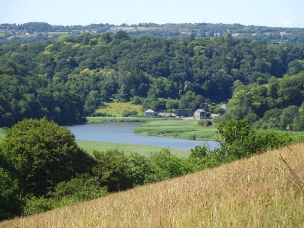 Cotehele Quay from the route of the TVDT
