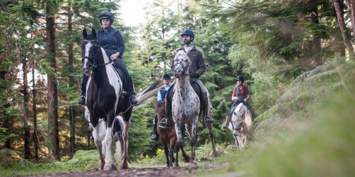 BLOG - 10-fun-things-to-do-in-the-tamar-valley (4)