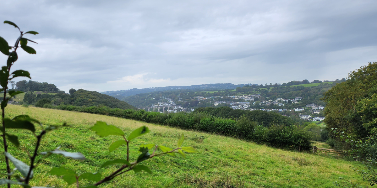 BLOG - New Year New You (3)