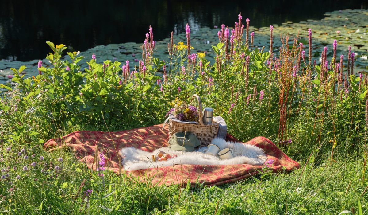 GREEN ACORN - ATTRCTION ARUNDELL - BLOG - The Arundell Fishing Lake Autumn Winter picnic