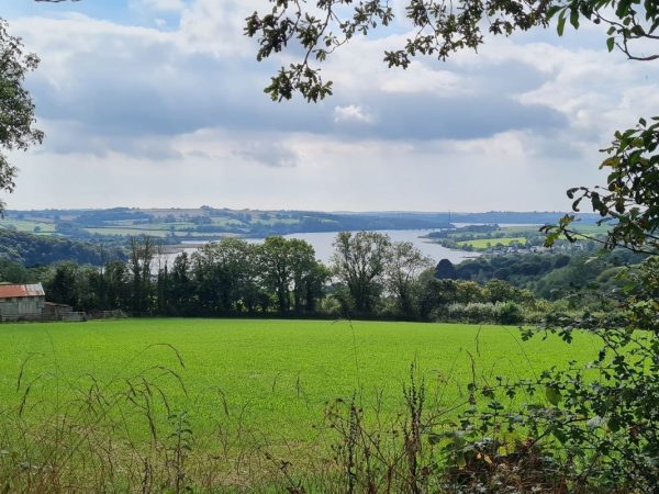 A view of the Rivers Tamar and Tavy from the Bere Peninsula