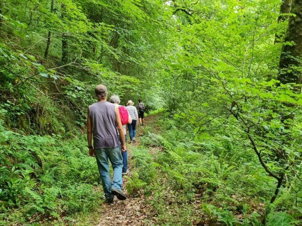 Visit Tamar Valley Wild Glamping