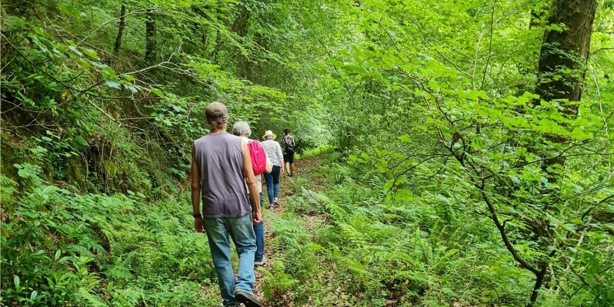 Visit Tamar Valley Wild Glamping