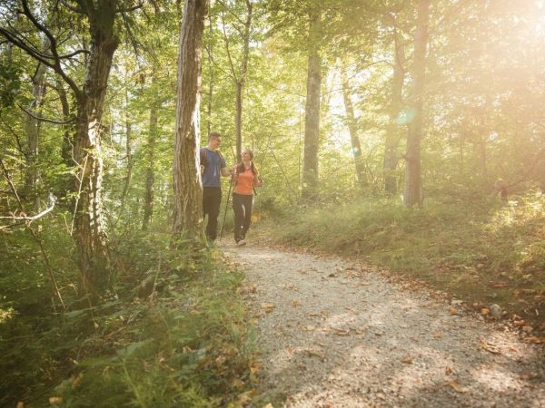 Visit-Tamar-Valley-Discovery-Trail (1)