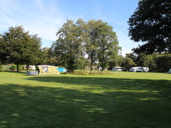 Visit Tamar Valley - Harford Bridge Park Camping Fields
