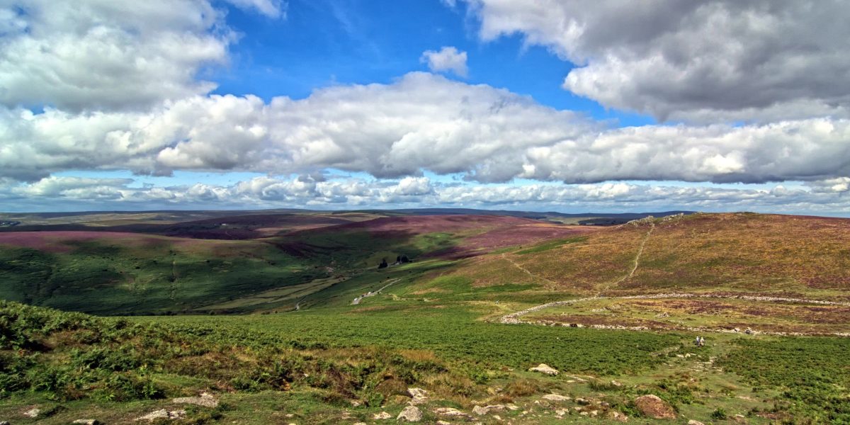 BLOG - DARTMOOR Visit_Tamar_Valley_Dartmoor