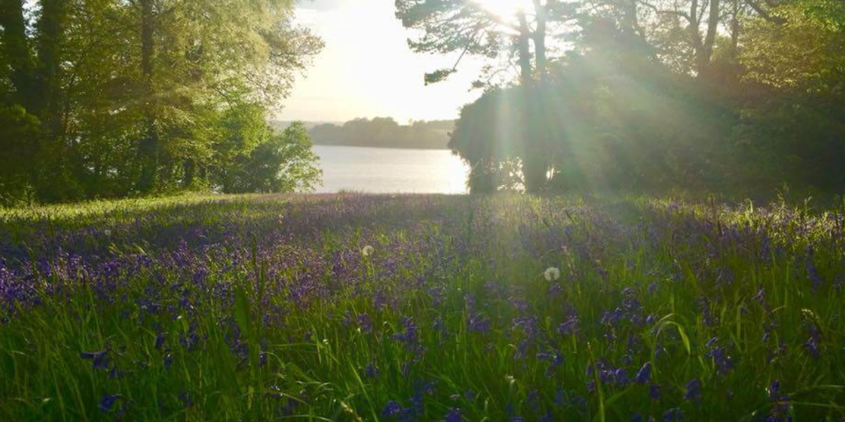 RAME PENINSULA - antony house (2)